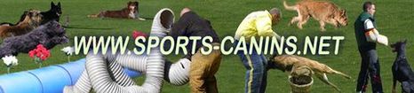 sports canins