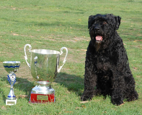 Buddy -vainqueur du challenge Lelann 2011