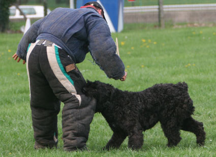 BUDDY-avril 2009