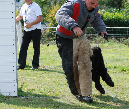 Buddy -Ring 2 la Souterraine 2011